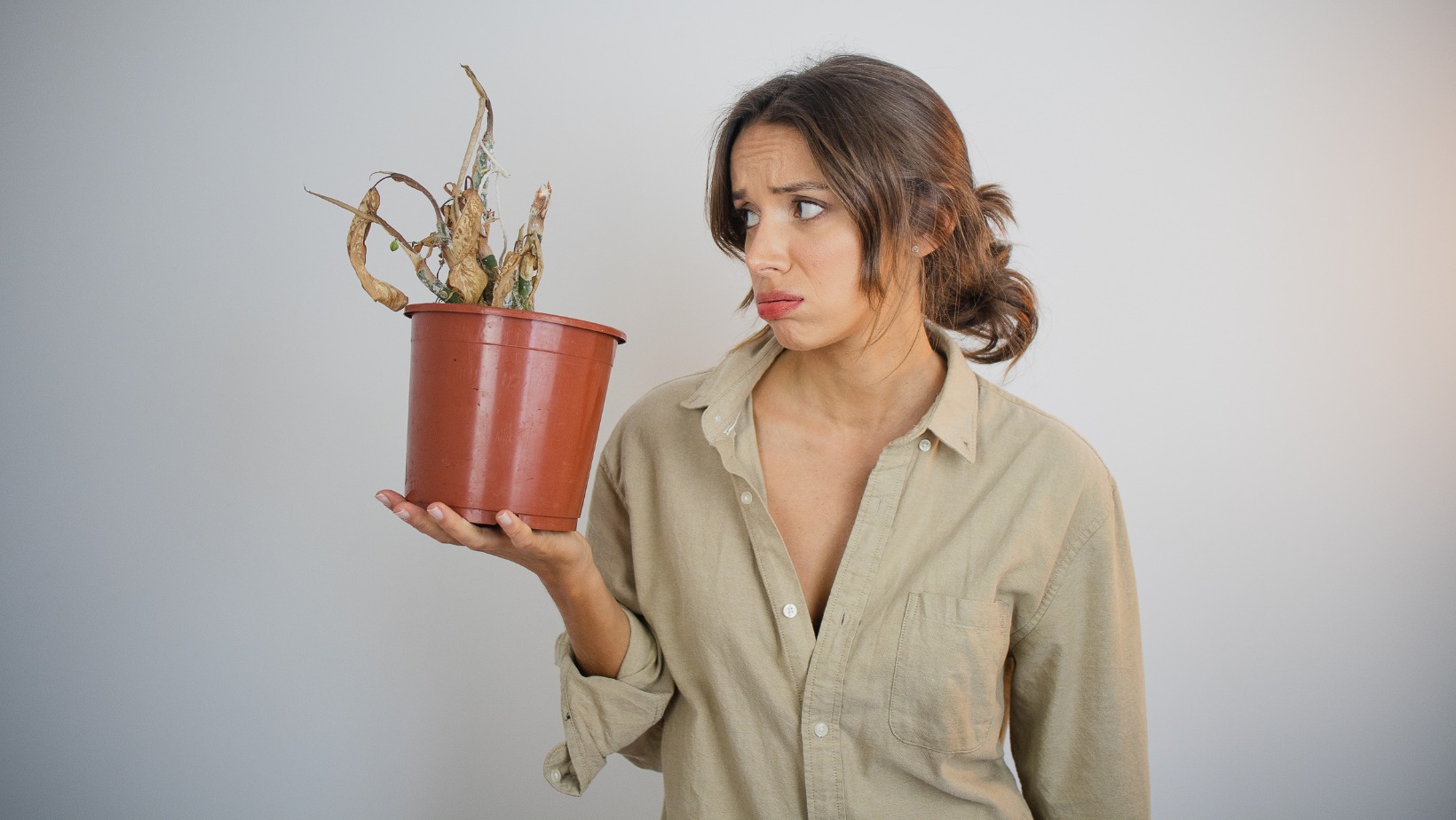 ¿Mito o Realidad? Cuidando mis plantas